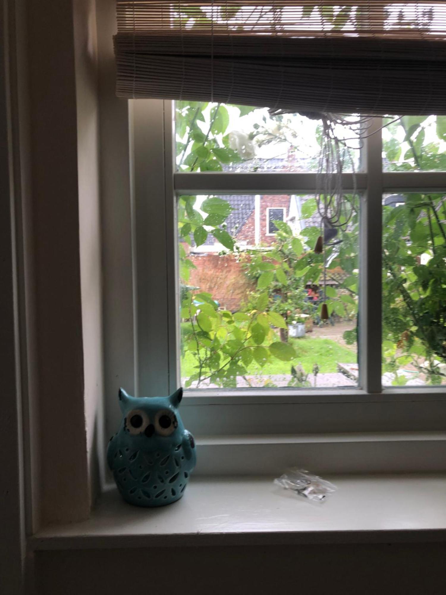 Appartement In Schuur Twisk Dış mekan fotoğraf