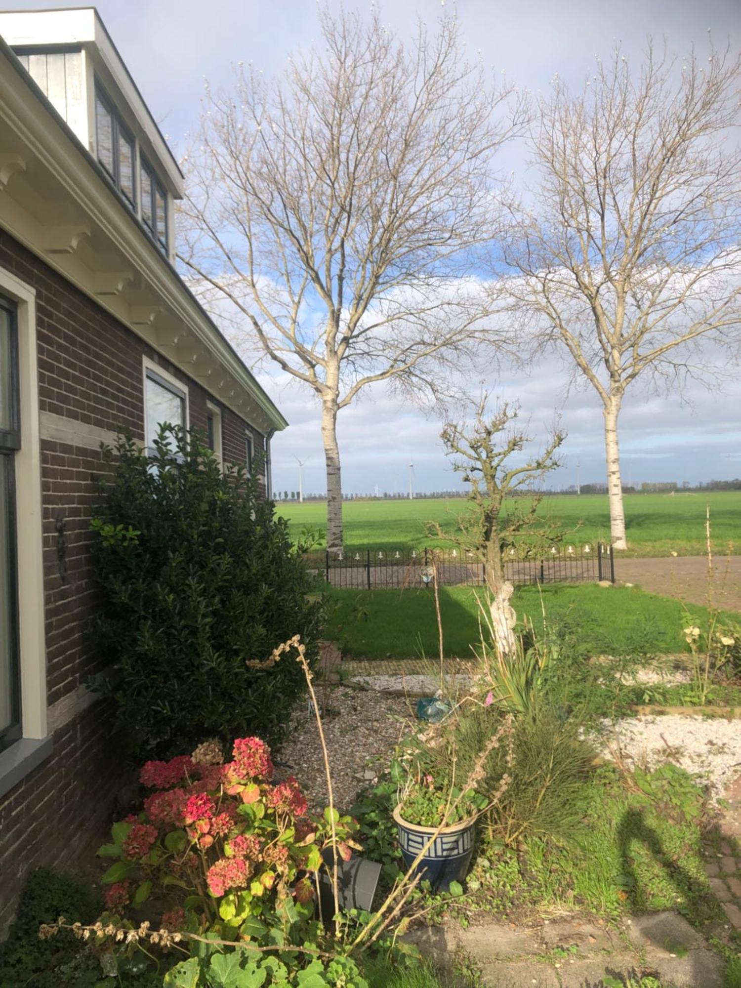Appartement In Schuur Twisk Dış mekan fotoğraf